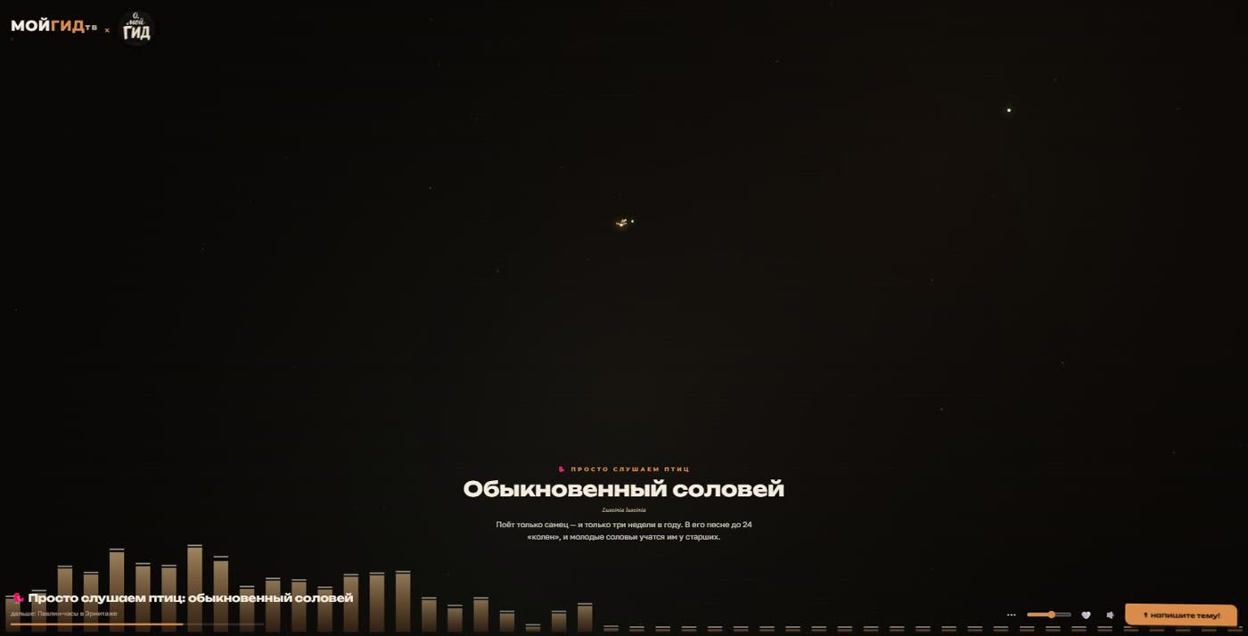 Кадр эфира MOYGID.TV: рубрика «Просто слушаем птиц»
